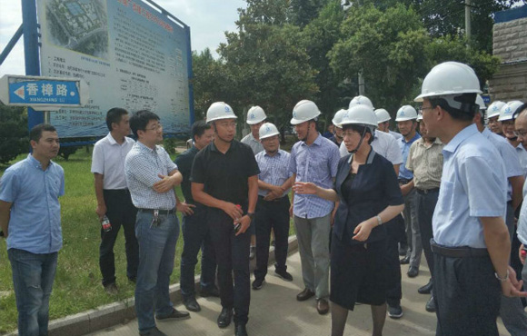 岳阳市市长凌云一行视察望塘项目