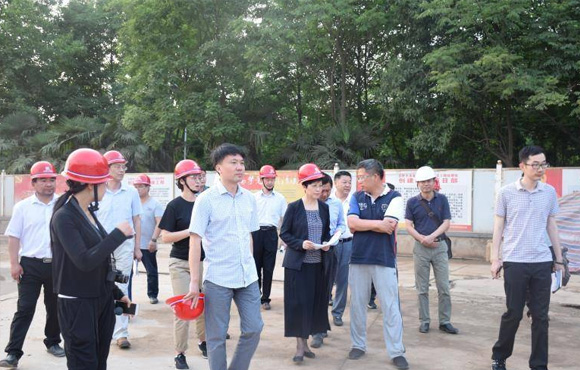 岳阳市凌云市长光临清溪项目查抄领导工作