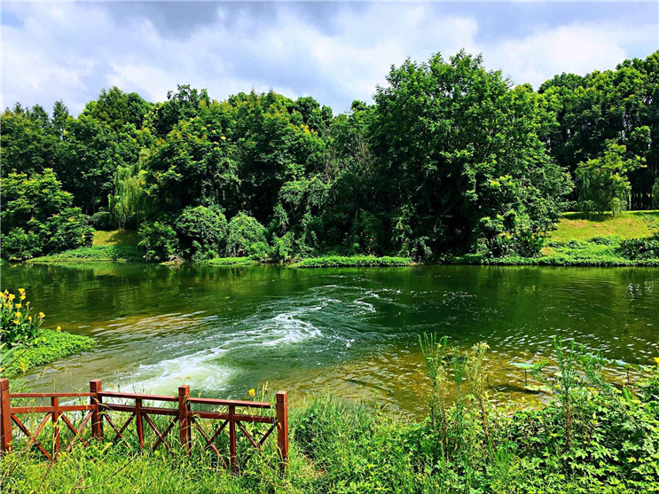 富联娱乐-妄想照进现实,致力成就将来!
