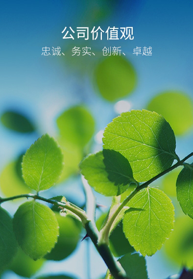 富联娱乐-妄想照进现实,致力成就将来!