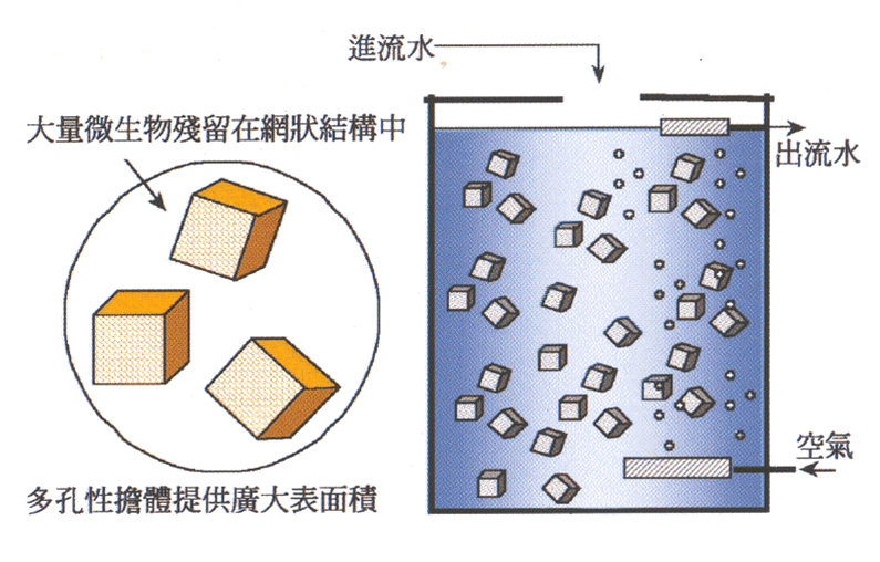 富联娱乐-妄想照进现实,致力成就将来!